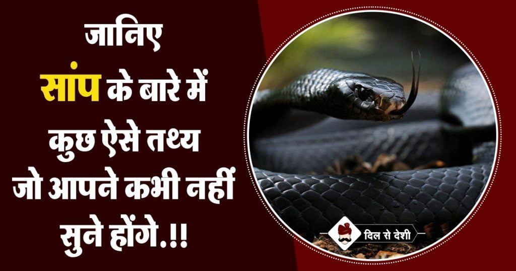 Interesting Facts about Snakes in Hindi