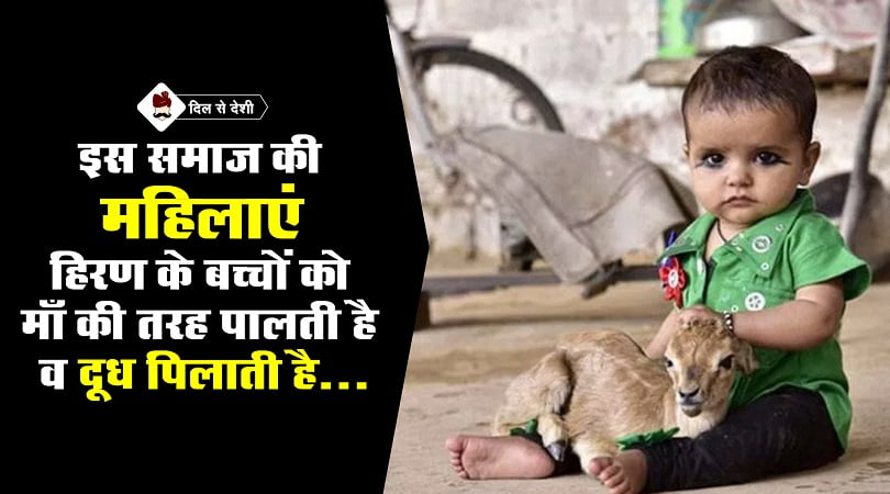 bishnoi tribe women breastfeed deer like mother
