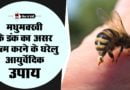 मधुमक्खी के डंक का घरेलु आयुर्वेदिक उपचार best bee sting swelling home remedy treatment in hindi best bee sting swelling home remedy treatment in hindi