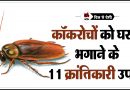 कॉकरोच से छुटकारा पाने के 11 देसी नुस्खे | Cockroach Bhagane ke Gharelu Upay in Hindi Cockroach Bhagane ke Desi Upay in Hindi