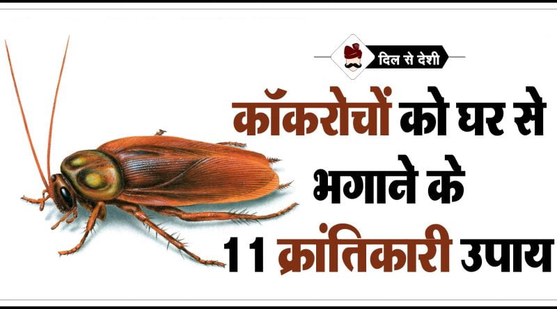 Cockroach-Bhagane-ke-Desi-Upay-in-Hindi-800x445