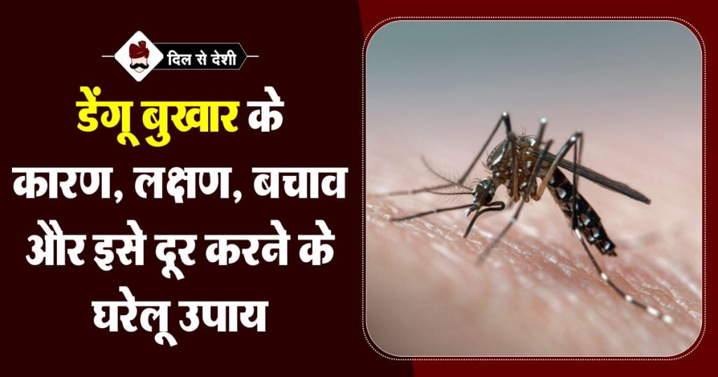 Dengue Fever & Home Treatment in Hindi