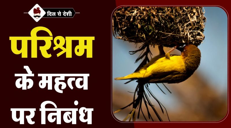 Essay vriksharopan ka mahatva 04 picture