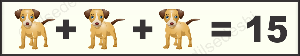 Apple, Dog and Fish Puzzle Quiz Questions Answer