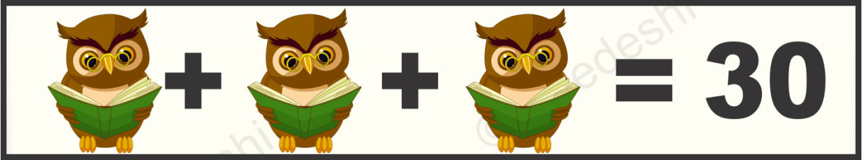 Owl, Leaf and Tree Puzzle Quiz Questions Answer