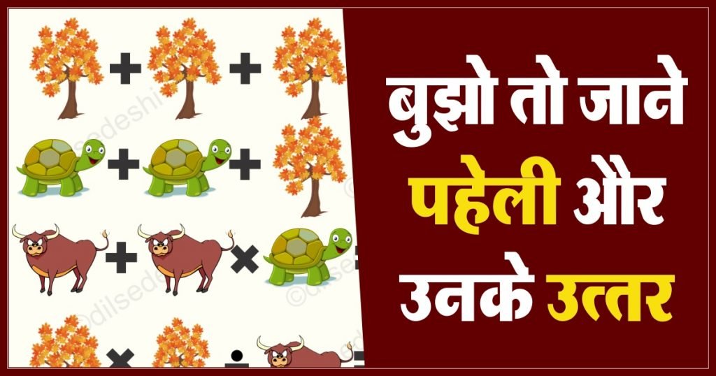 ree, Turtle and OX Puzzle Quiz Questions Answer