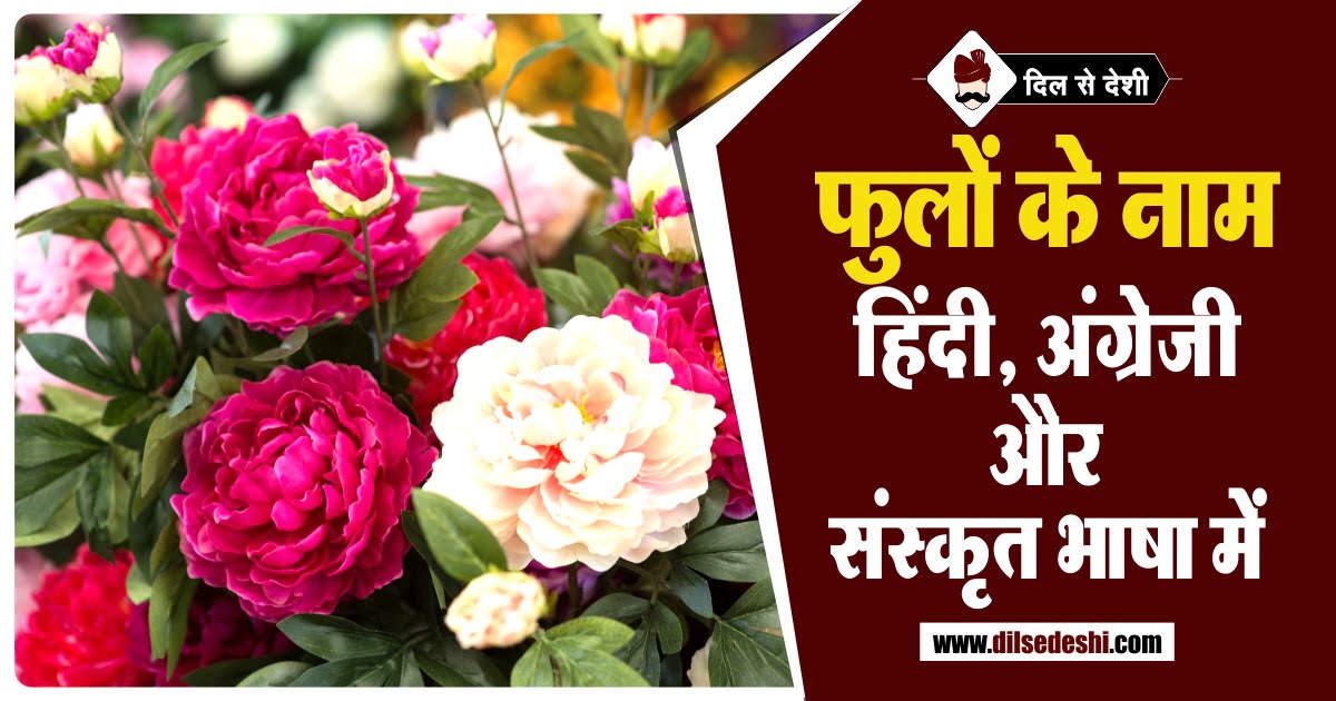 Flowers Name in English and Sanskrit