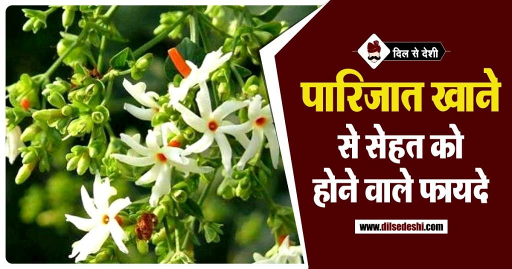  Harsingar Parijat Ke Fayde In Hindi