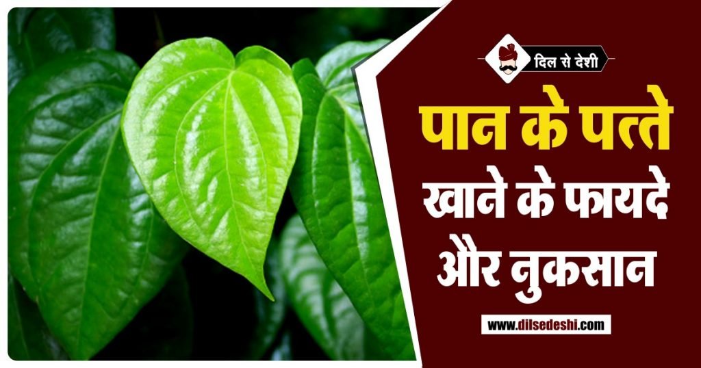 पान के पत्ते के 20 अद्भुत फायदे Paan Ke Patte ke Fayde in Hindi