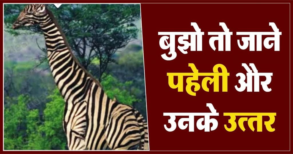 बूझो तो जाने पहेली क्र. 98,99 का उत्तर Logical and Common Sense